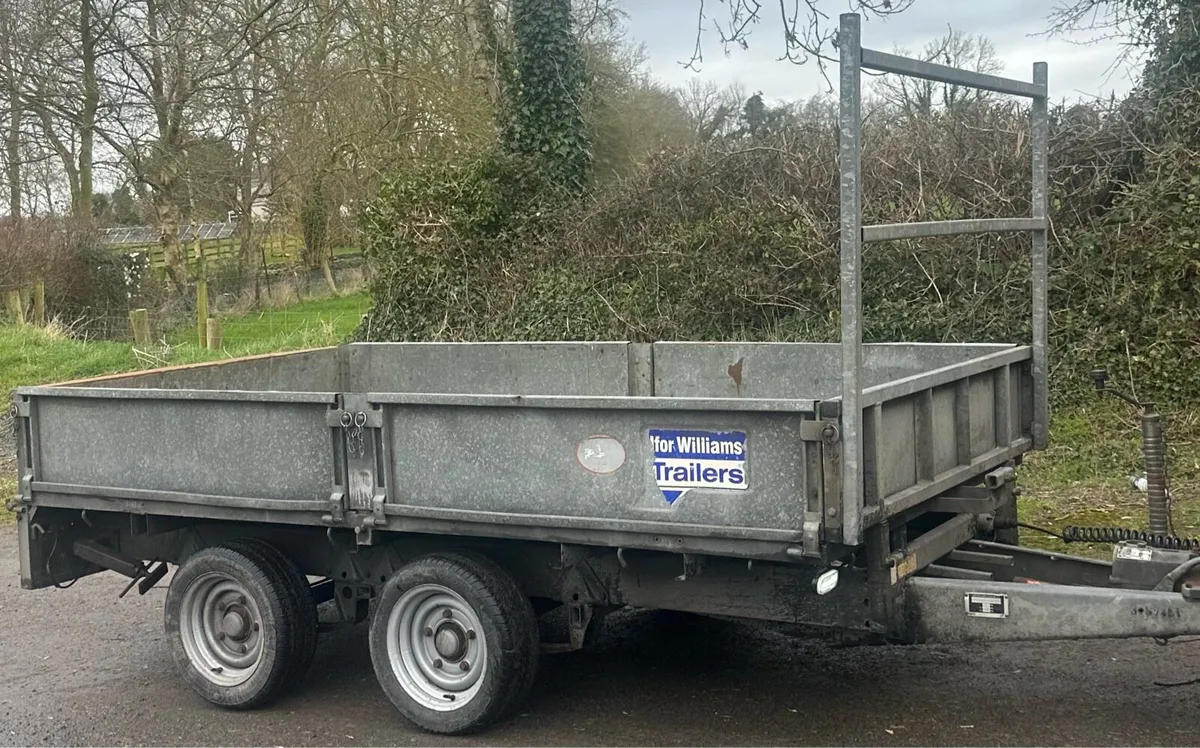 10 x 5 Ifor Williams Trailer - Image 2