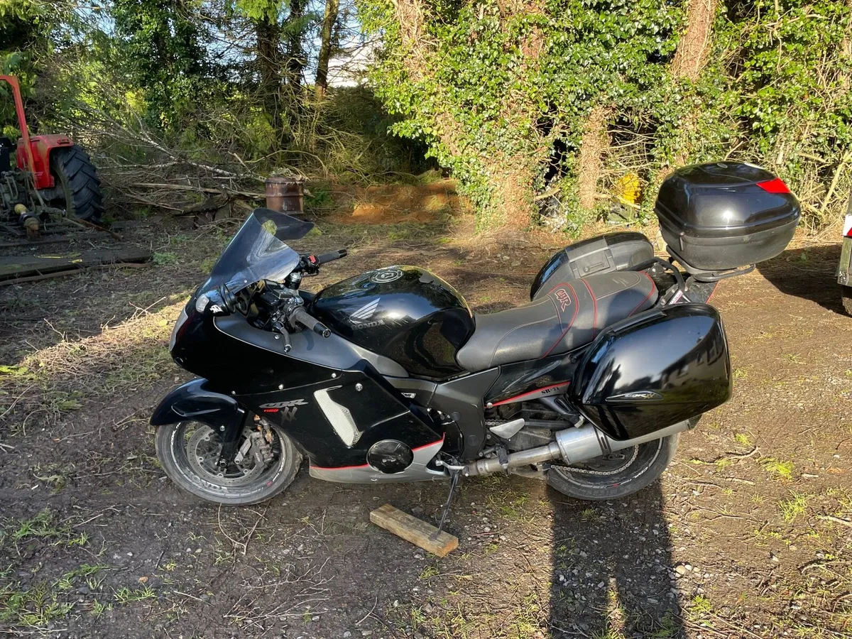 Honda blackbird - Image 4