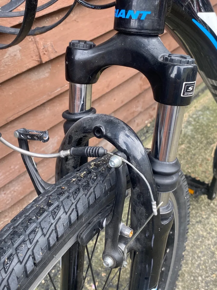 Giant revel - Image 2