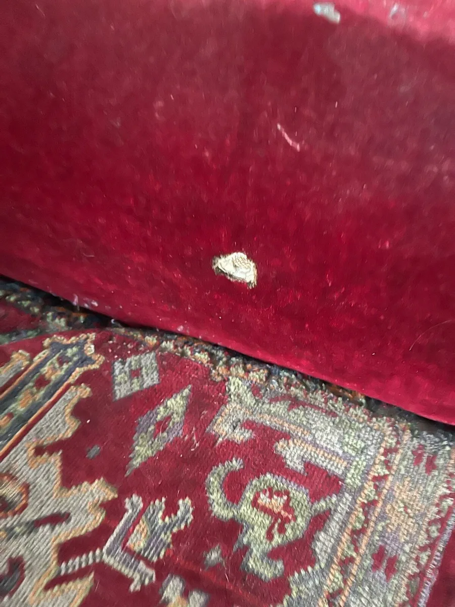 antique carpet chair - Image 4