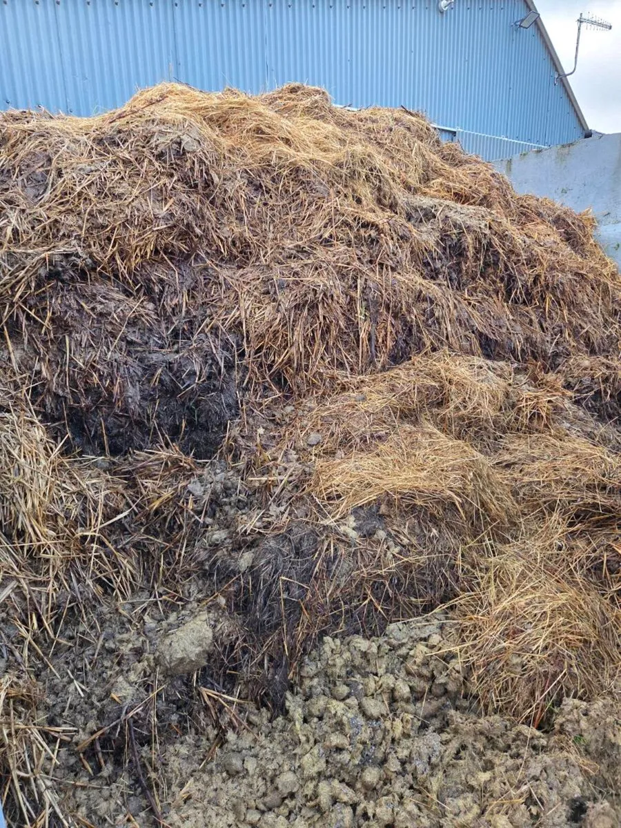 Horse dung - Free to take away - Image 2