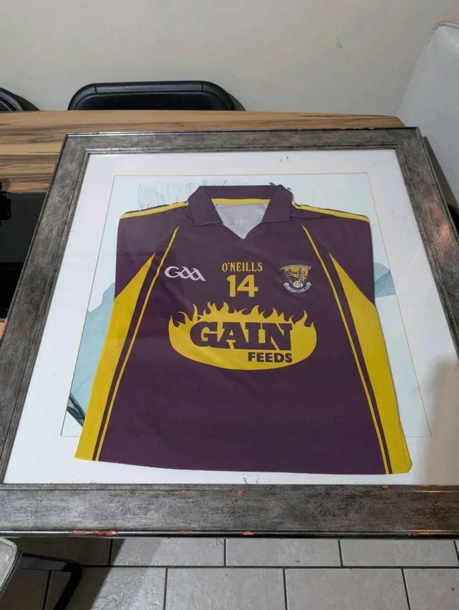 2015 matchworn wexford GAA jersey - Image 1