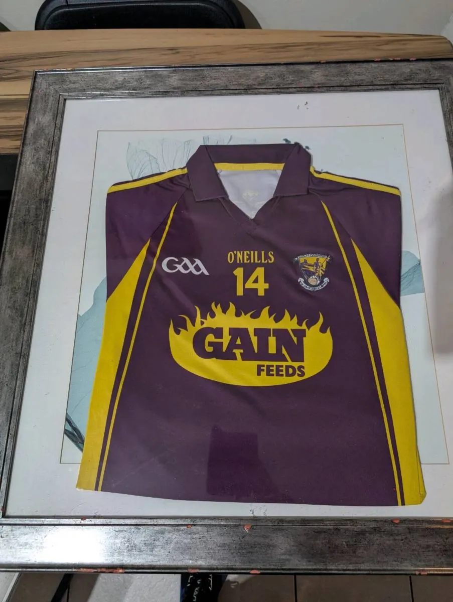2015 matchworn wexford GAA jersey - Image 2