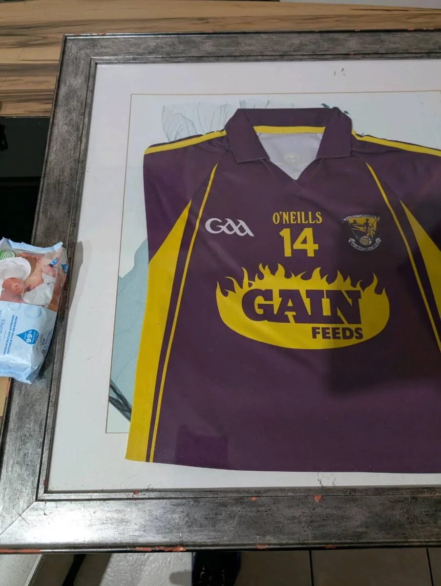 2015 matchworn wexford GAA jersey - Image 3