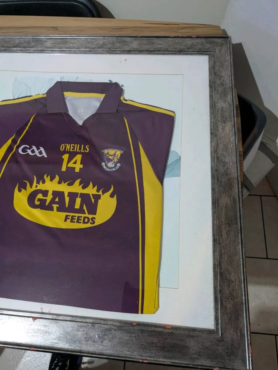2015 matchworn wexford GAA jersey - Image 4