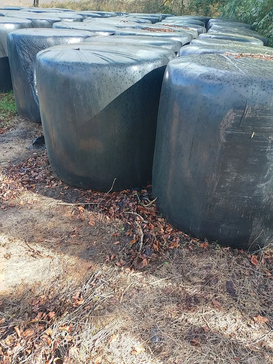 Haylage/Silage for Sale - Image 1