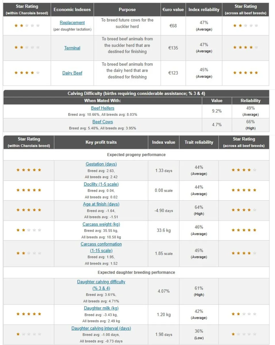 5 Star Pedigree Charolais Bull - Image 3