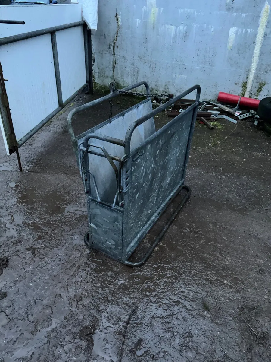 Calf dehorning crate - Image 3