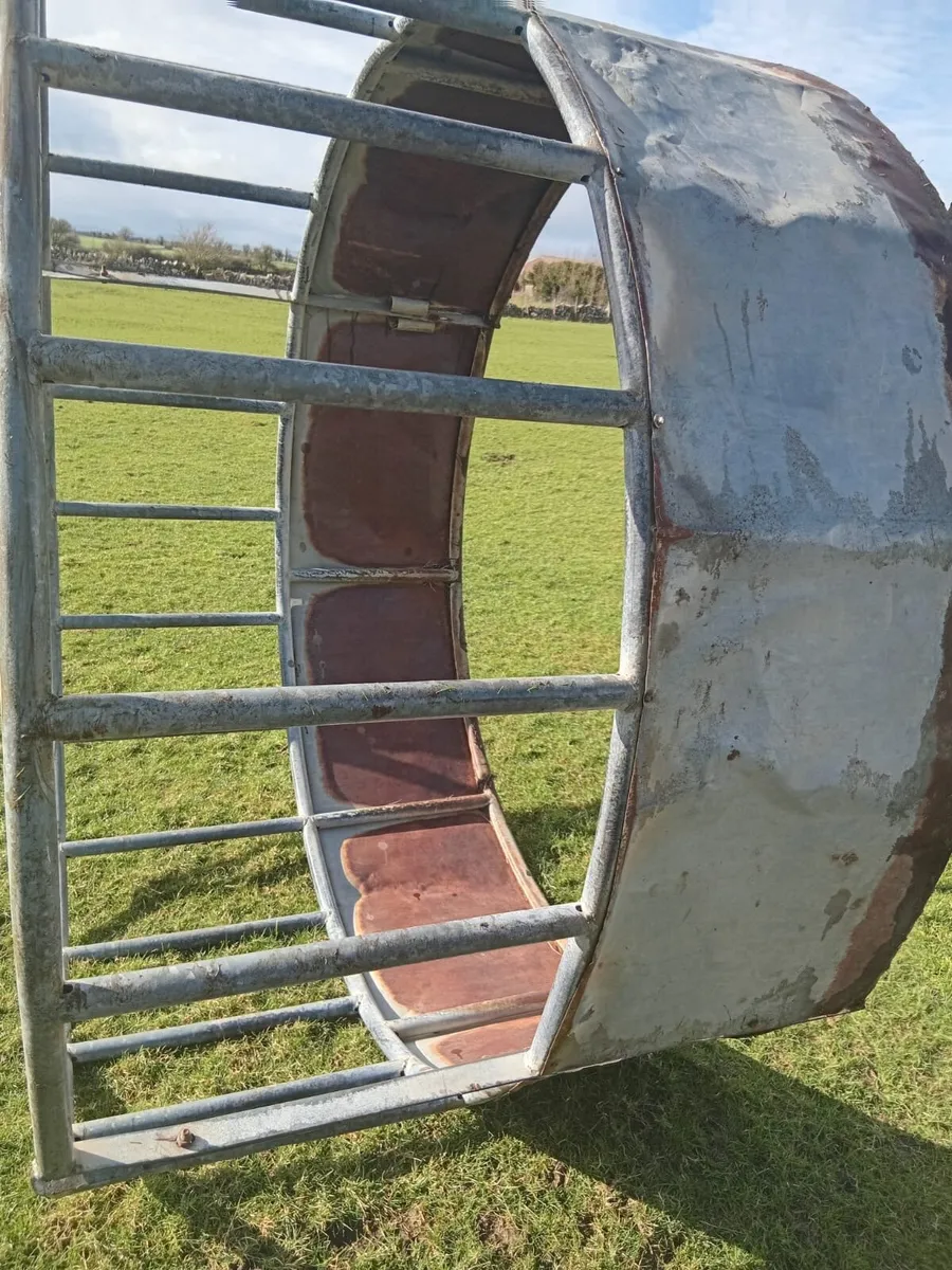 Cattle feeder - Image 2