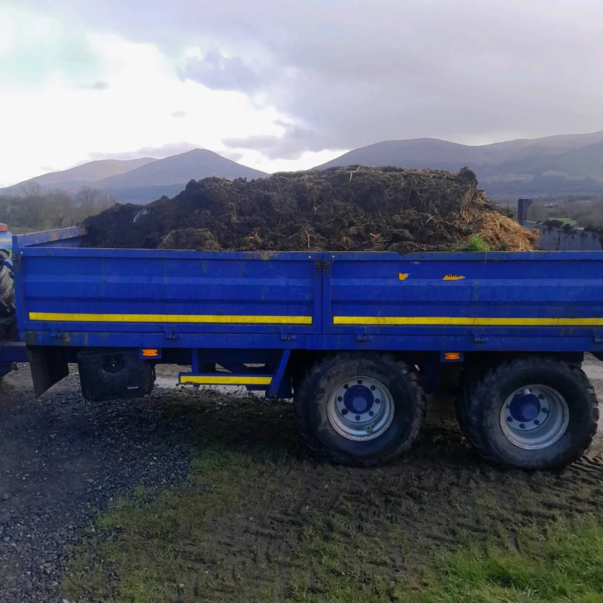 Horse manure for sale - Image 2