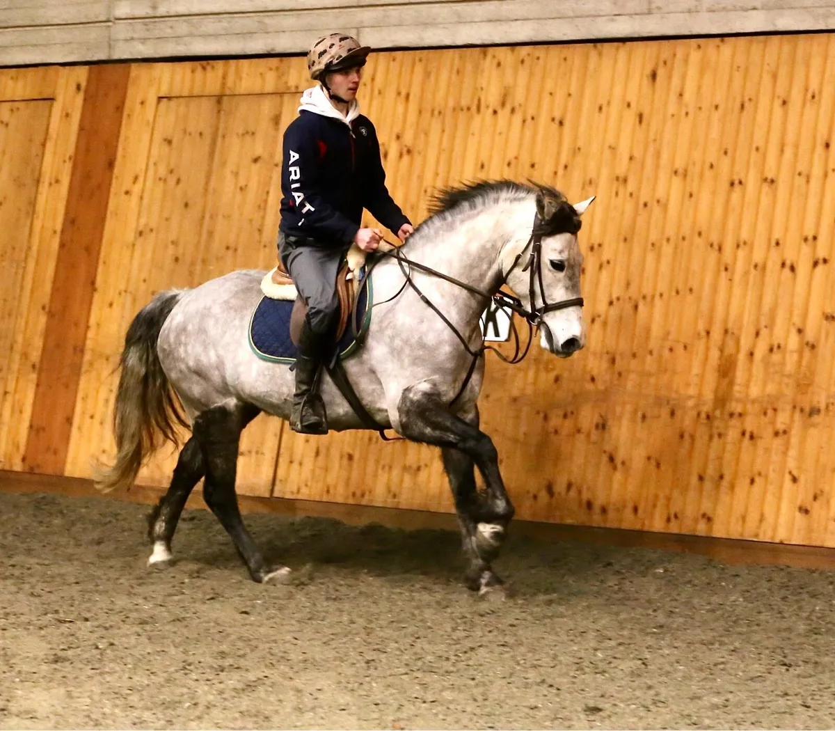 15hh Connemara - Image 2