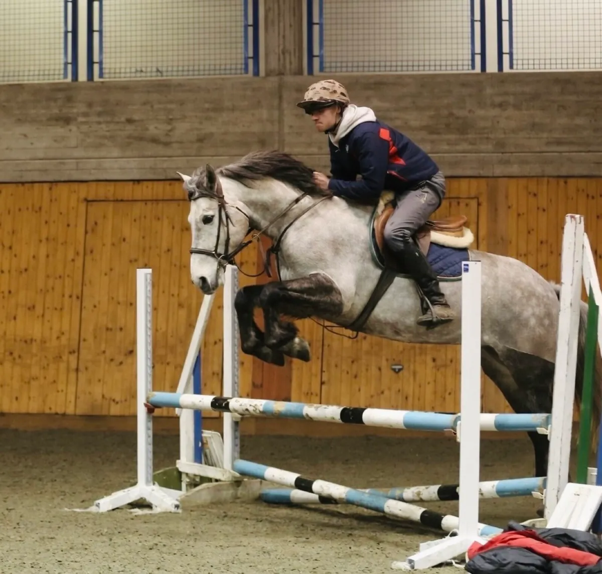 15hh Connemara - Image 3