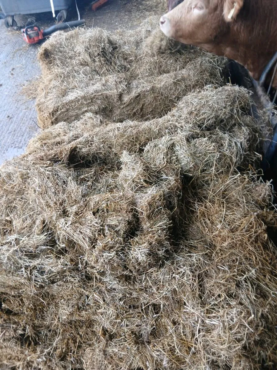 Silage - Image 1