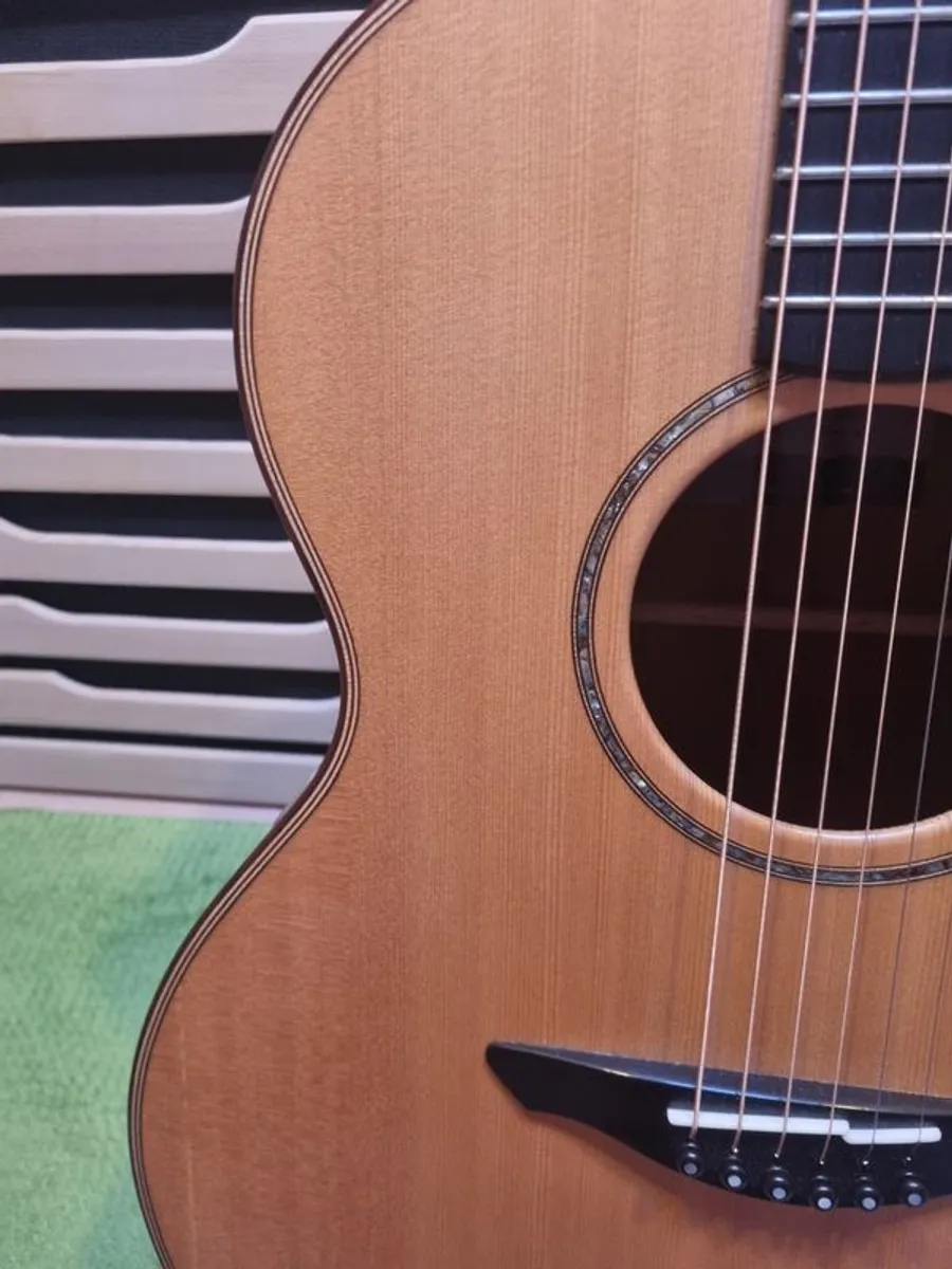 Avalon A2-10C - Image 4