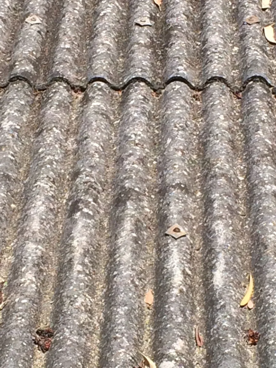 Asbestos Removal & Dispsoal Services - Image 4