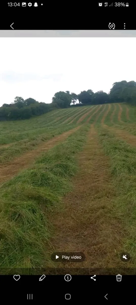 2025 chopped silage - Image 1