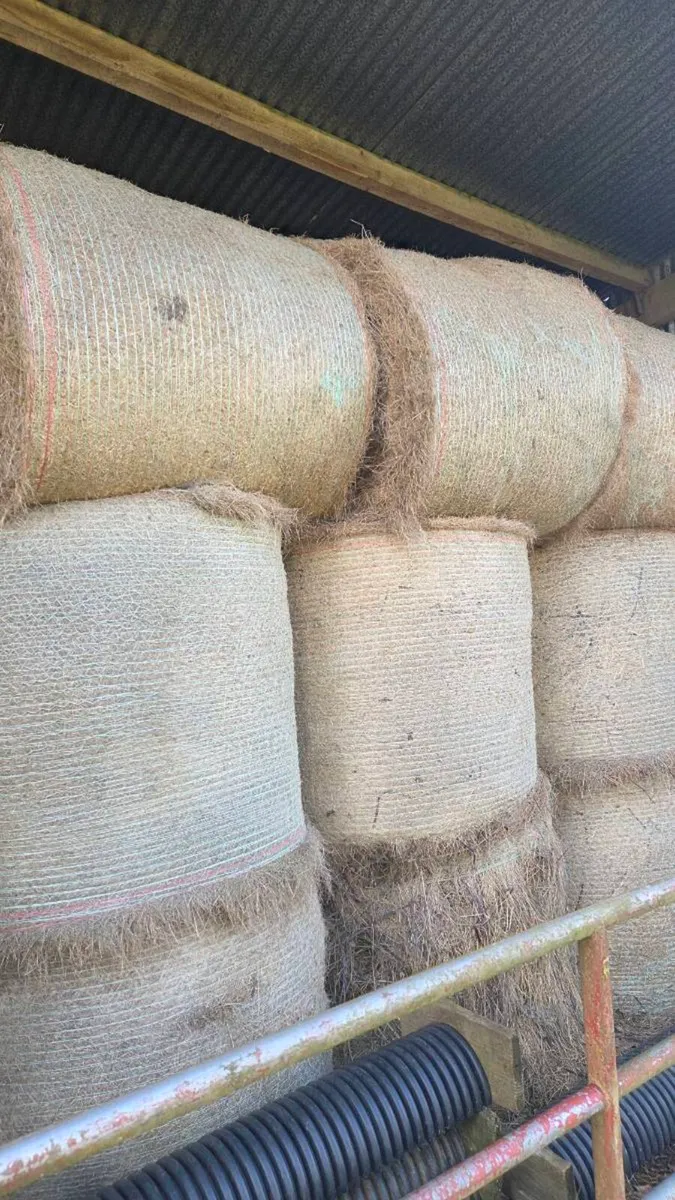 Organic hay - Image 3