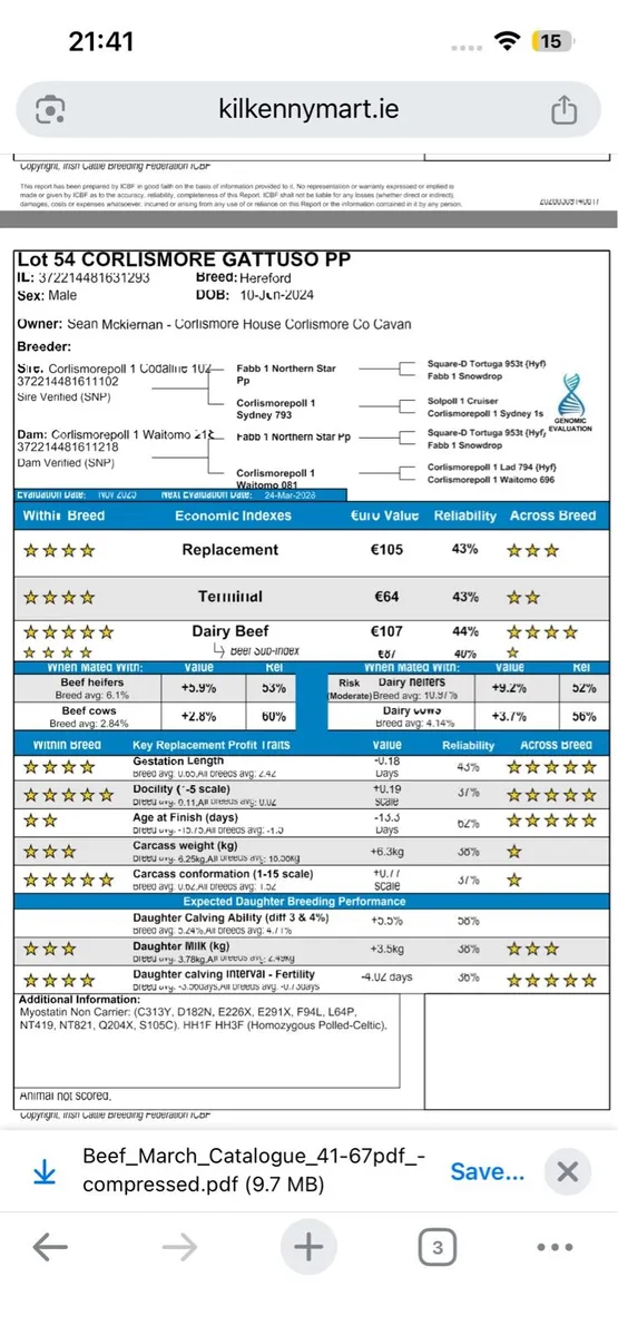 Hereford bulls in Kilkenny Wednesday - Image 4