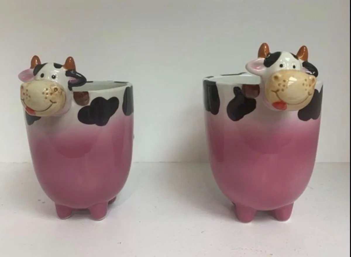 Pair of collectible Dookie Mugs - retired pattern - Image 2