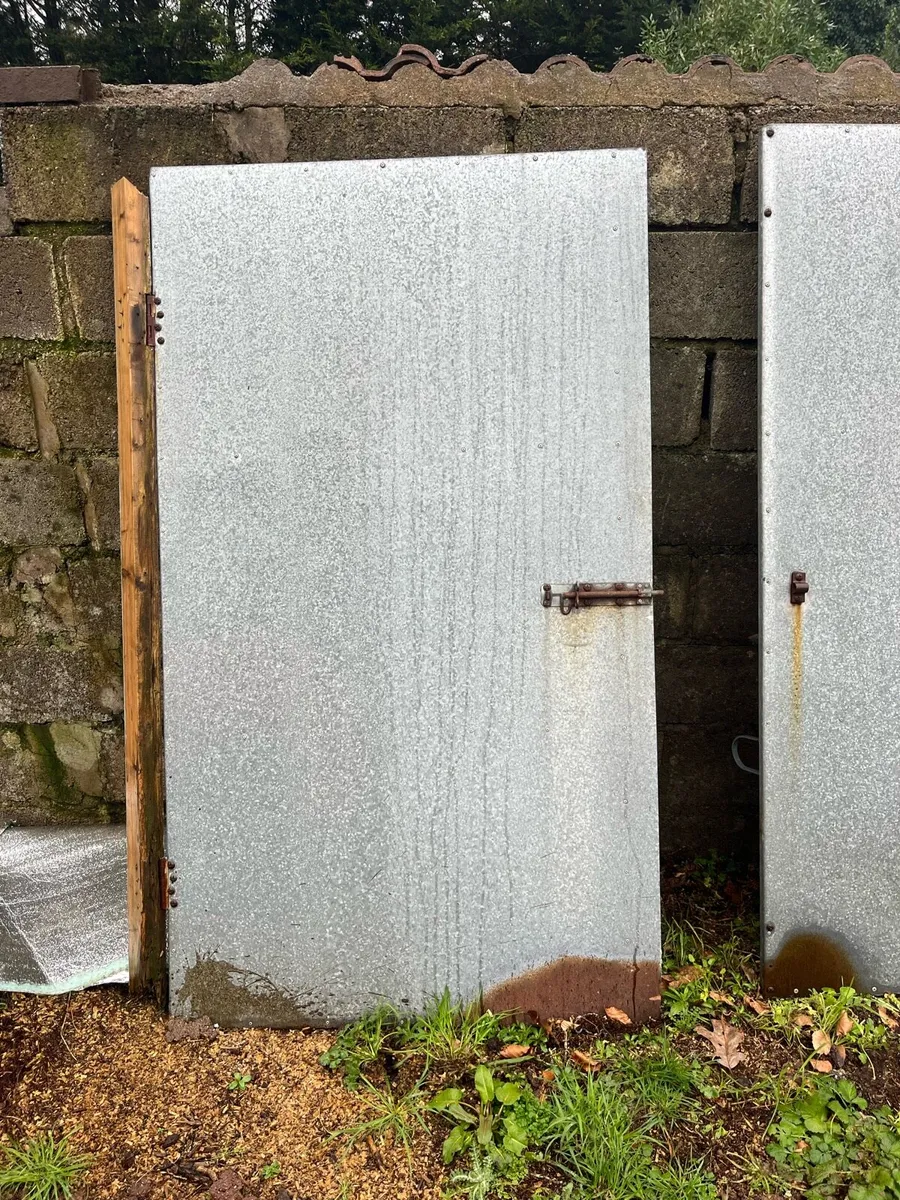 Shed doors - Image 1