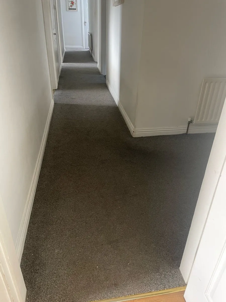 Carpet free - Image 1