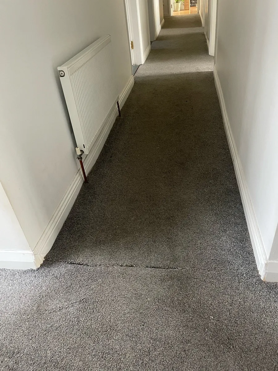 Carpet free - Image 2