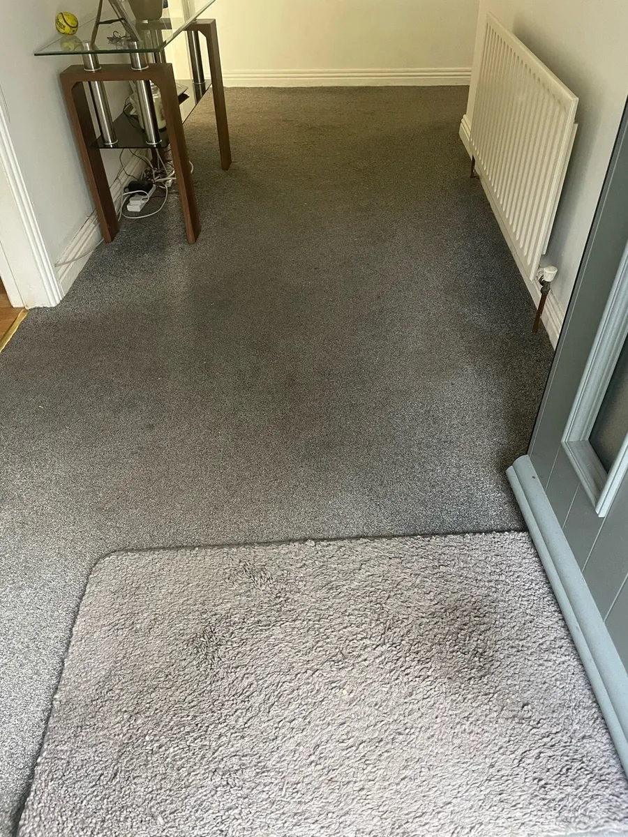 Carpet free - Image 3