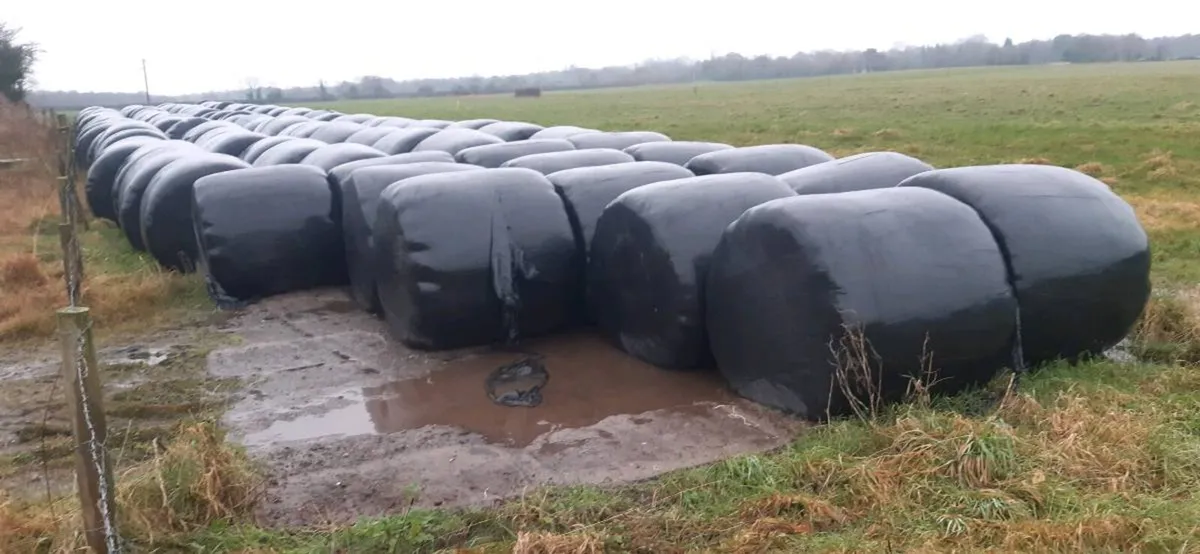 Silage bales - Image 1