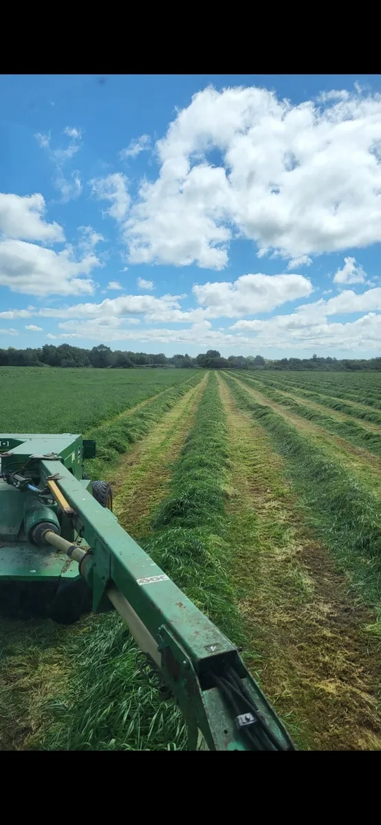 Silage bales - Image 3