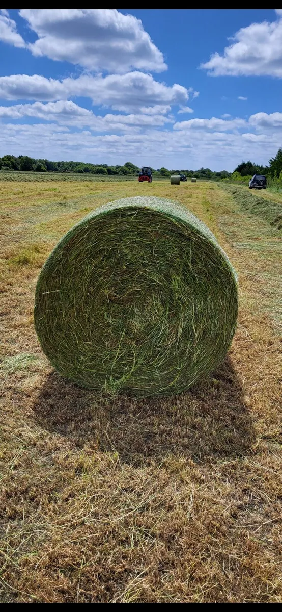 Silage bales - Image 2