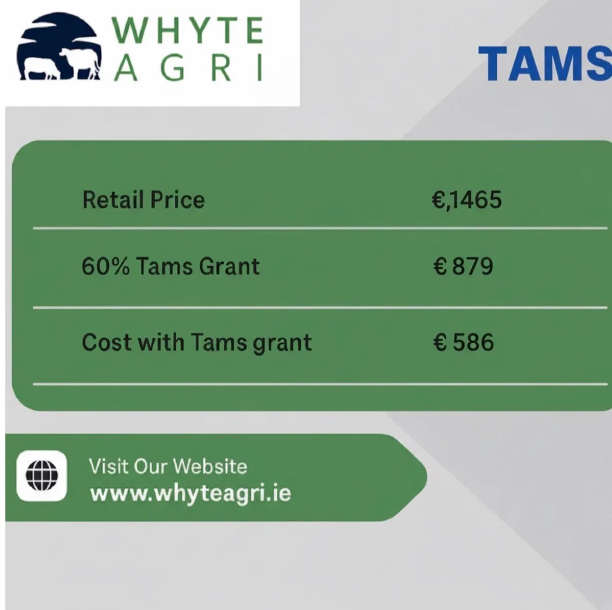 Cattle Scales Tams approved - Image 4