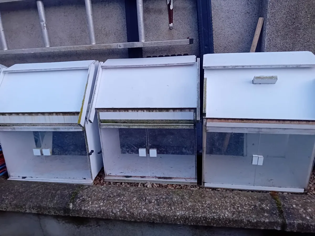 Pigeon  equipment - Image 2