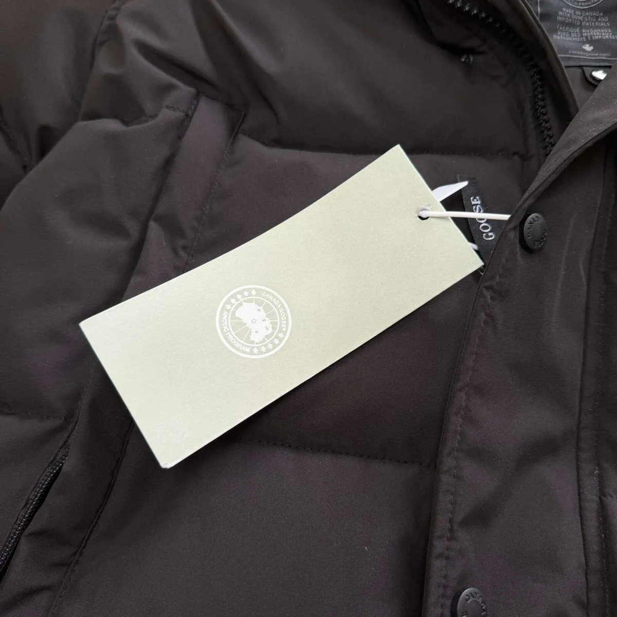 Canada goose parka - Image 2