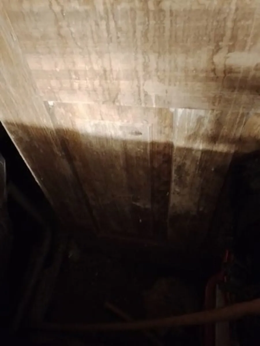 Mahogany Door Outer Door - Image 4