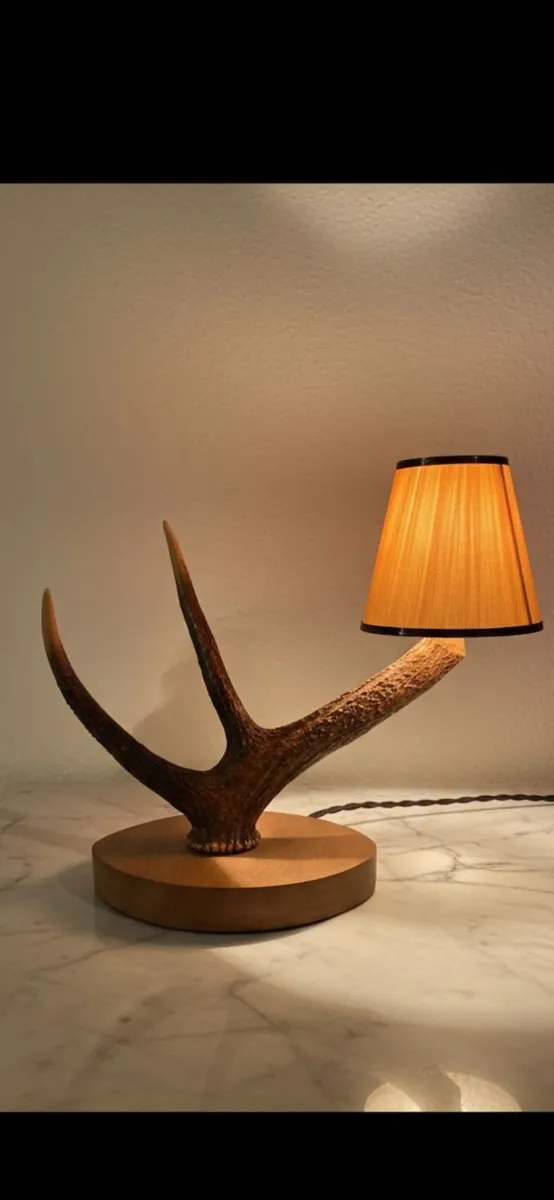 Mid century lamps - Image 4