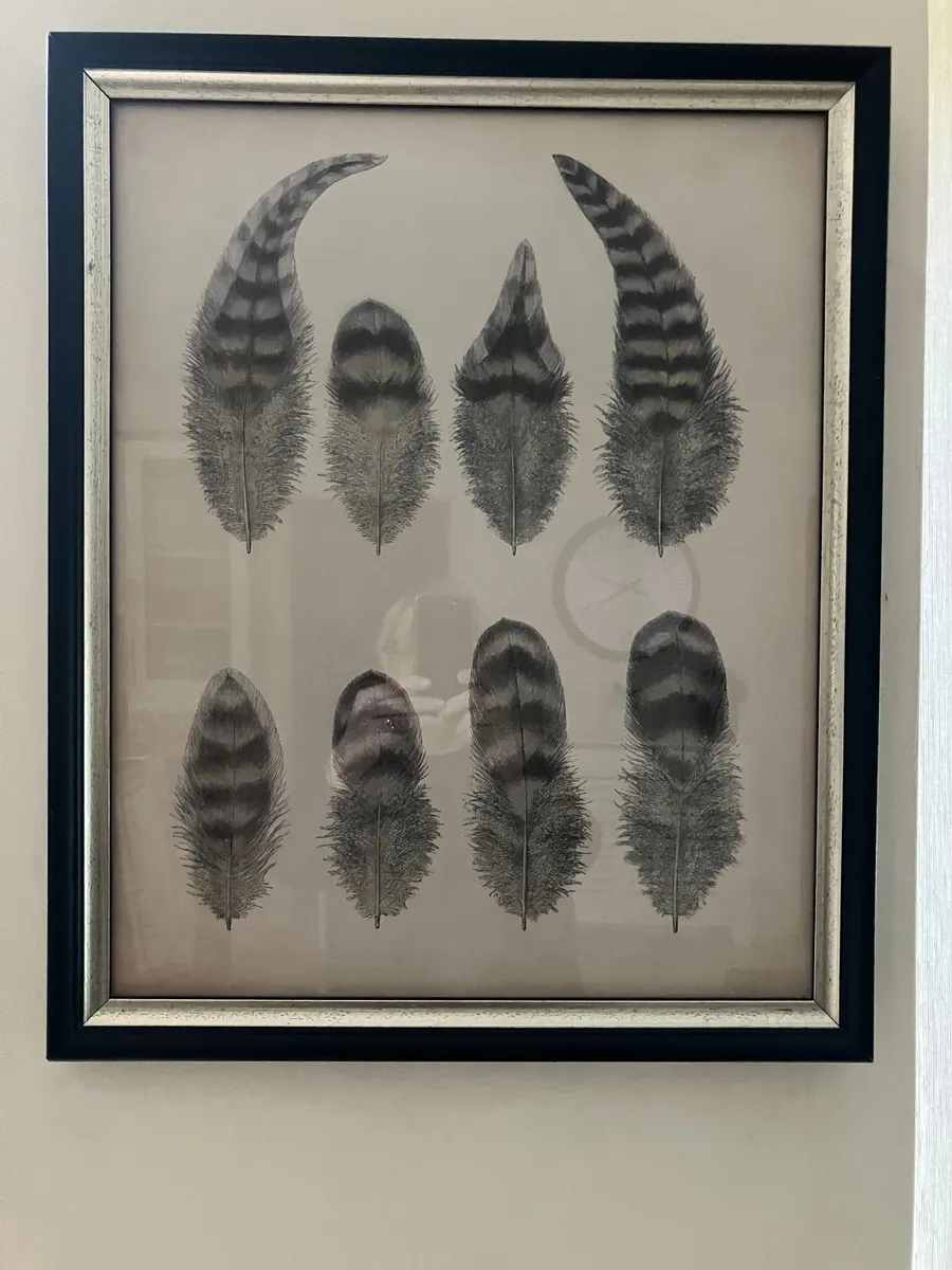 Helen Turkington Picture - Image 1