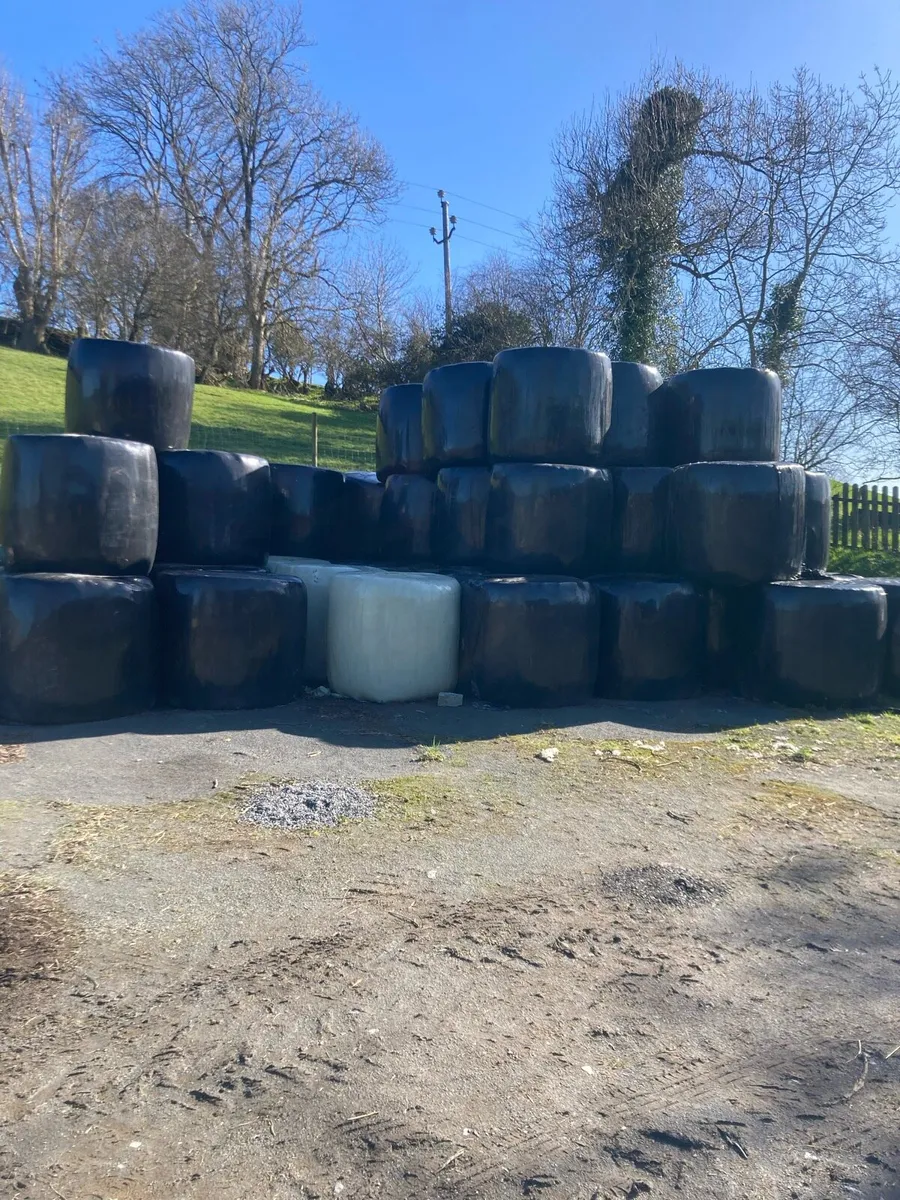 Round bale silage