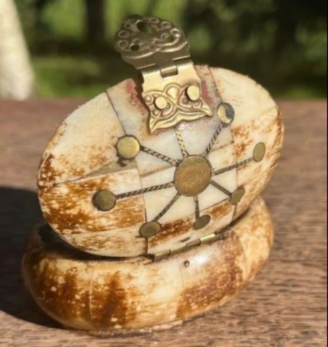 Rare Antique Camel Bone Trinket Box - Image 1