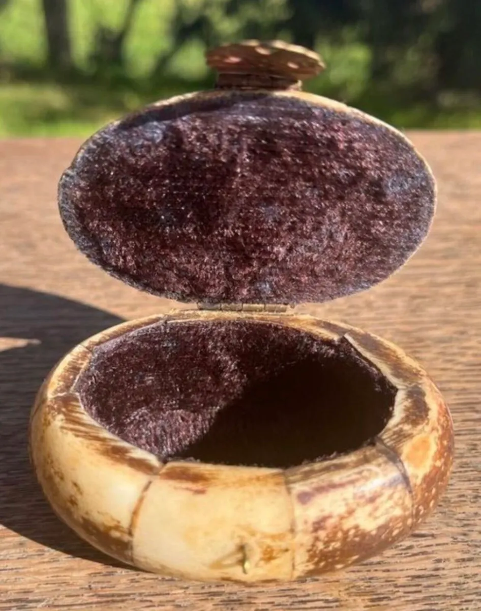 Rare Antique Camel Bone Trinket Box - Image 3