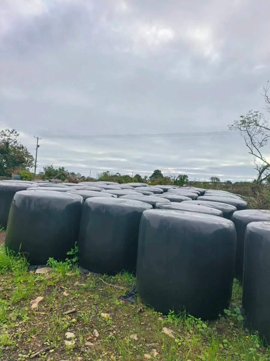 Silage for sale - Image 3