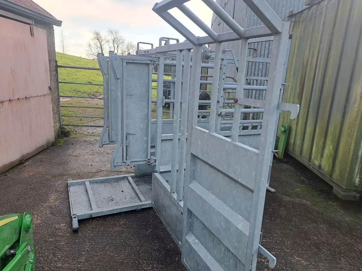 Cattle Crush - Image 3