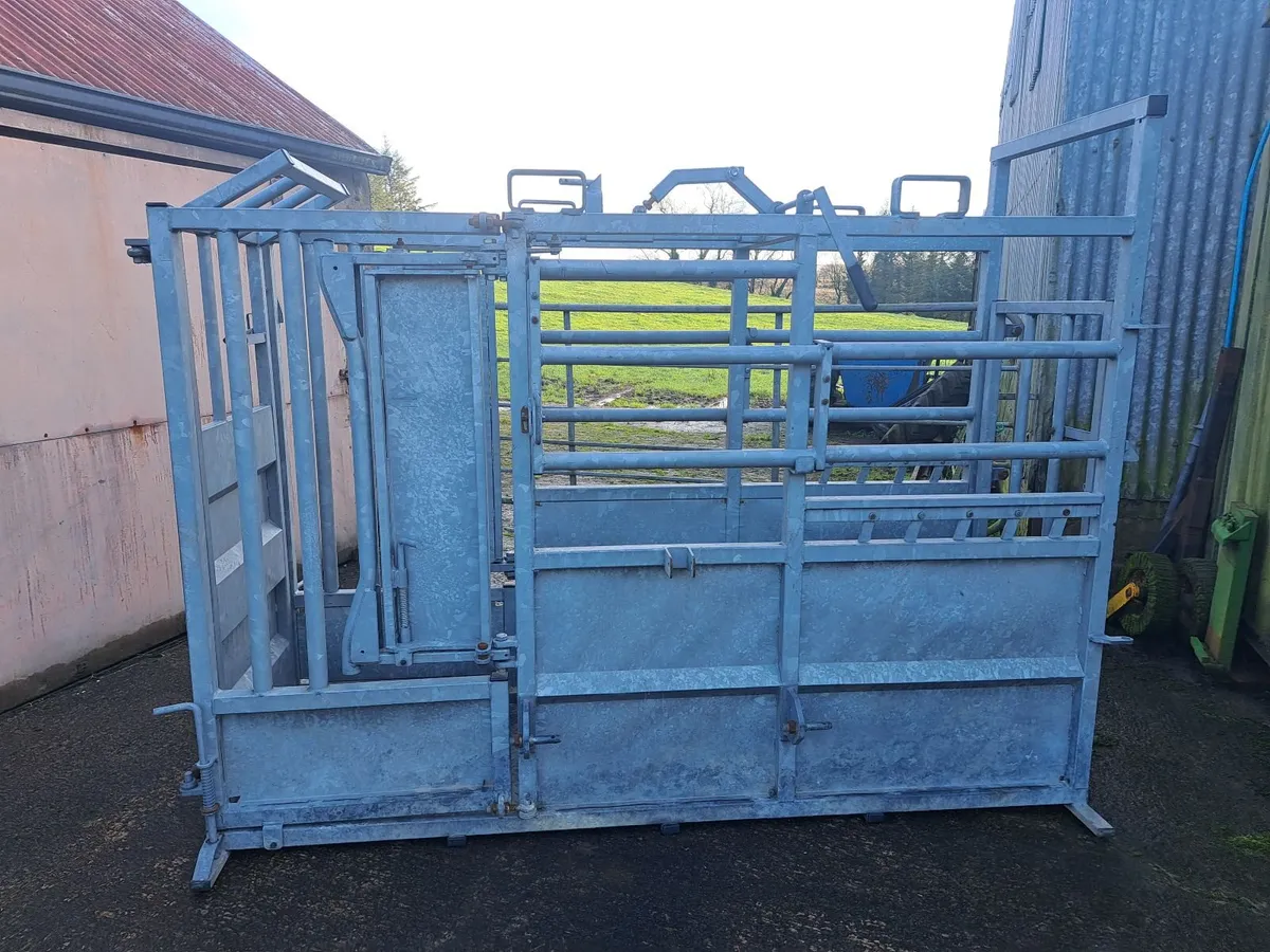 Cattle Crush - Image 2