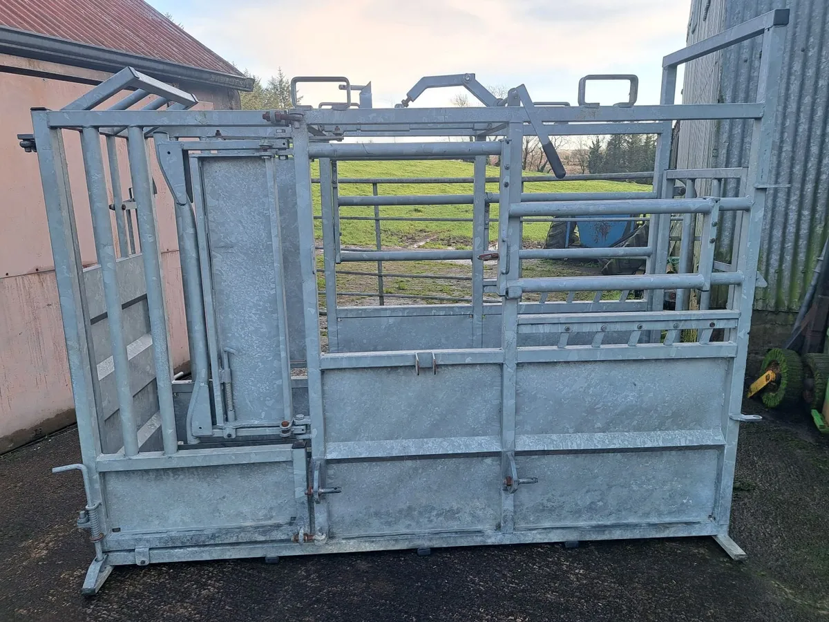 Cattle Crush - Image 1