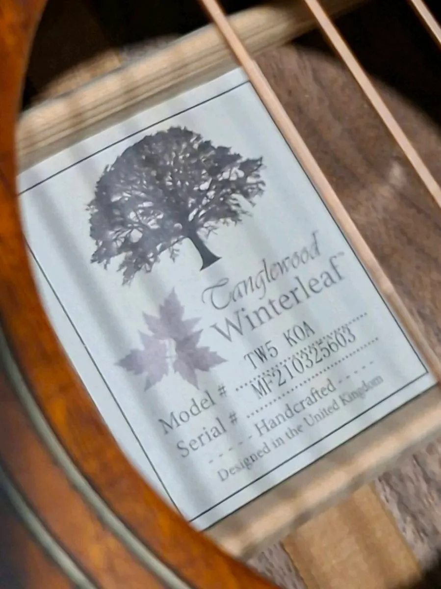 Tanglewood acoustic guitar - Image 4