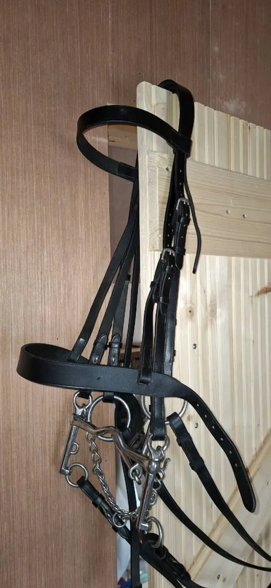 Black Double Bridle - Cob - Image 1