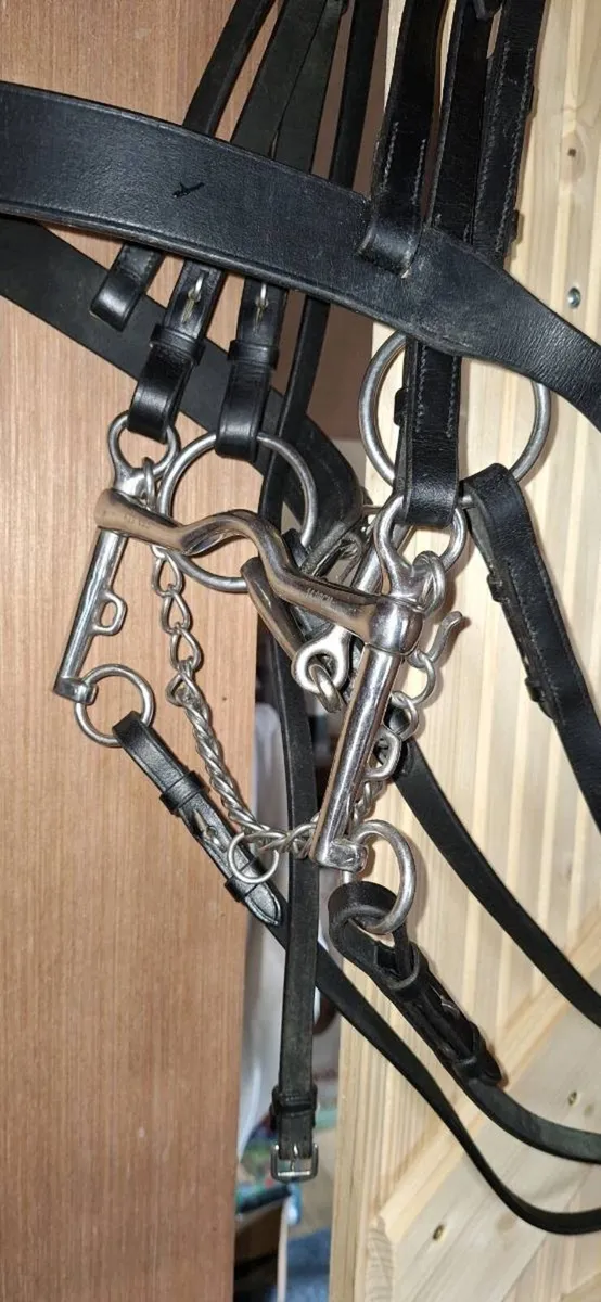 Black Double Bridle - Cob - Image 3