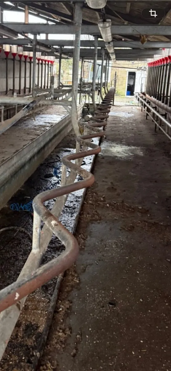 Milking parlour - Image 3