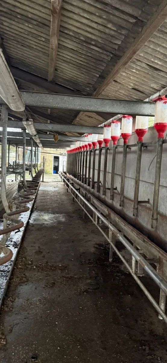 Milking parlour - Image 1