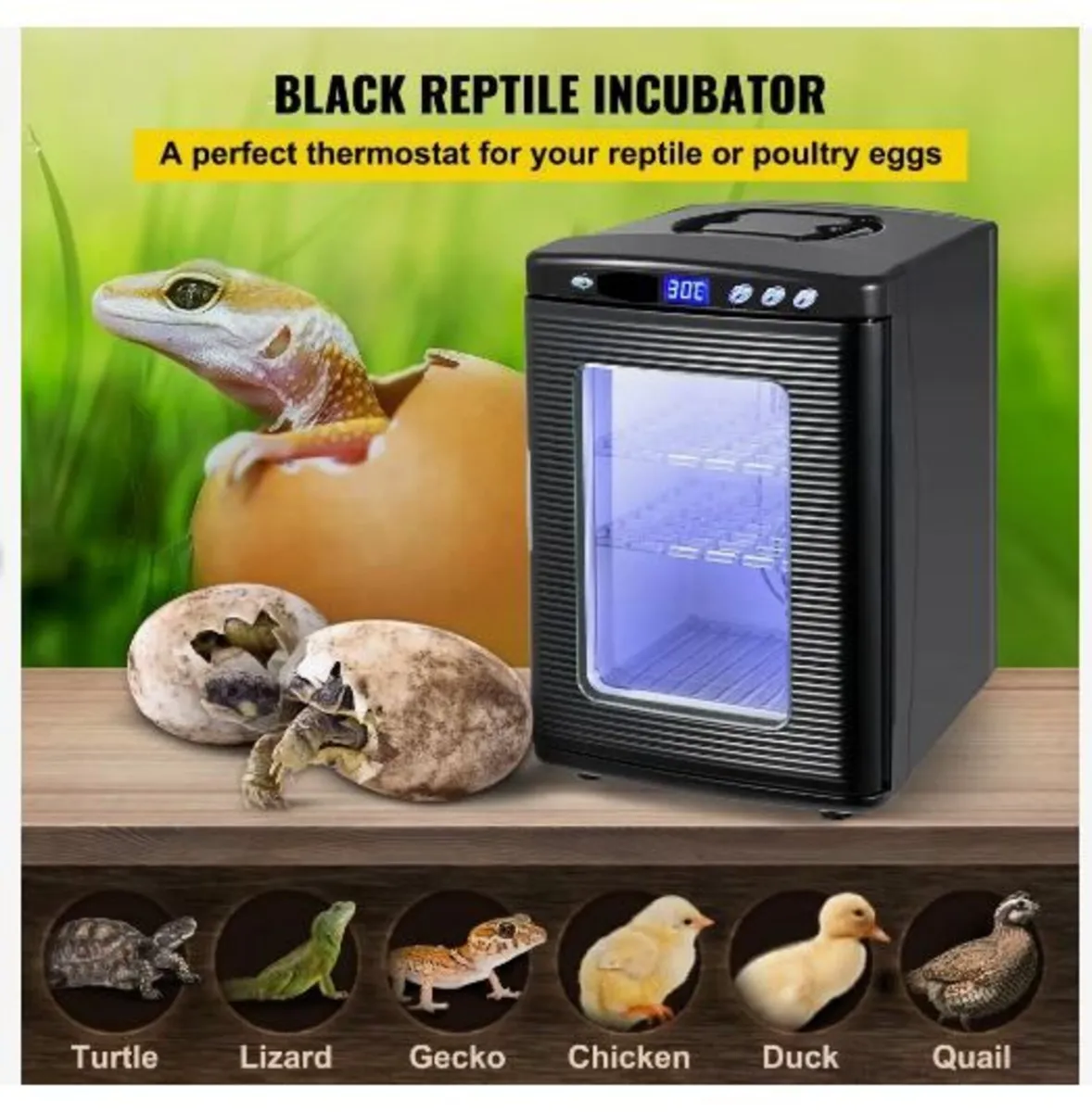 Black Reptile Incubator 25L Scientific Lab - Image 3