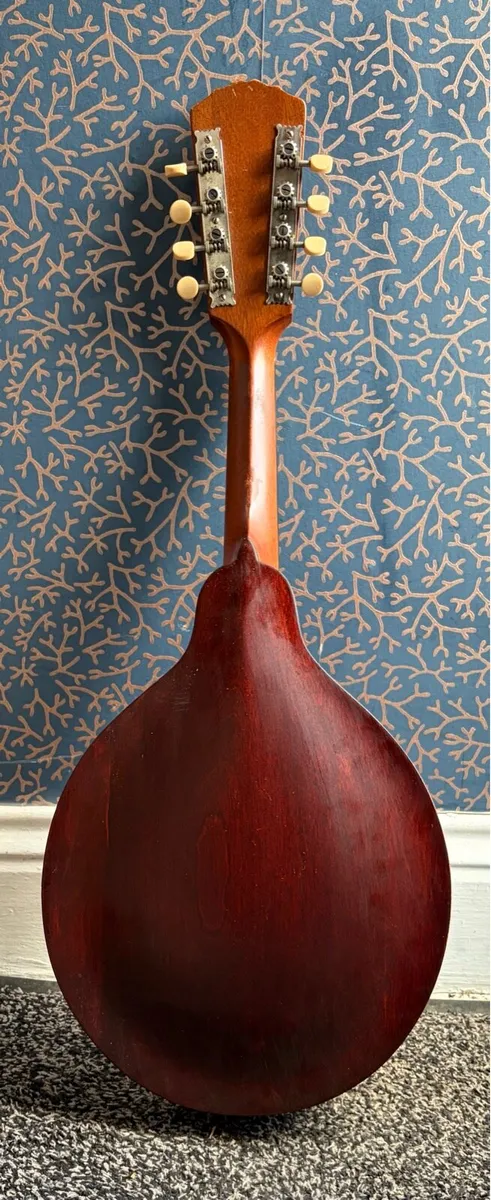 Mandolin Style A Mandolin - Image 2